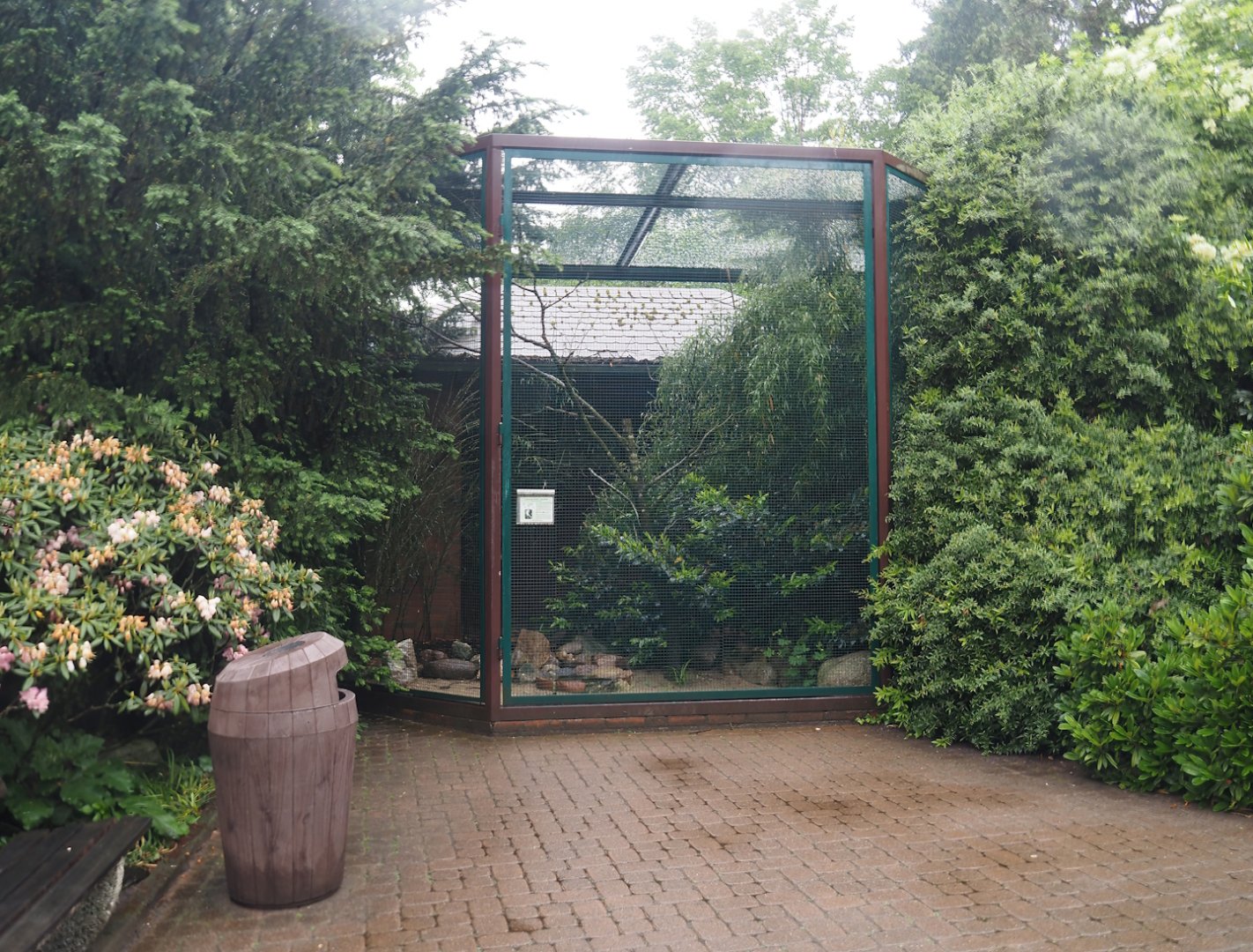 Laughing kookaburra aviary near Jungle Trail entrance, 2024-05-22