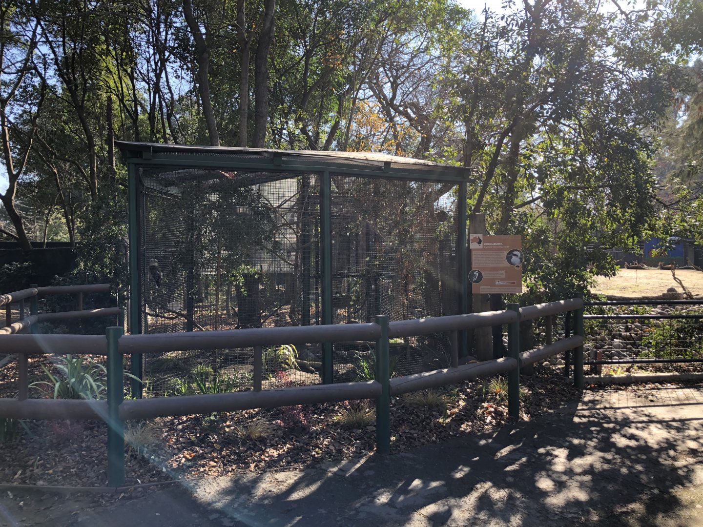 Laughing kookaburra aviary (new)