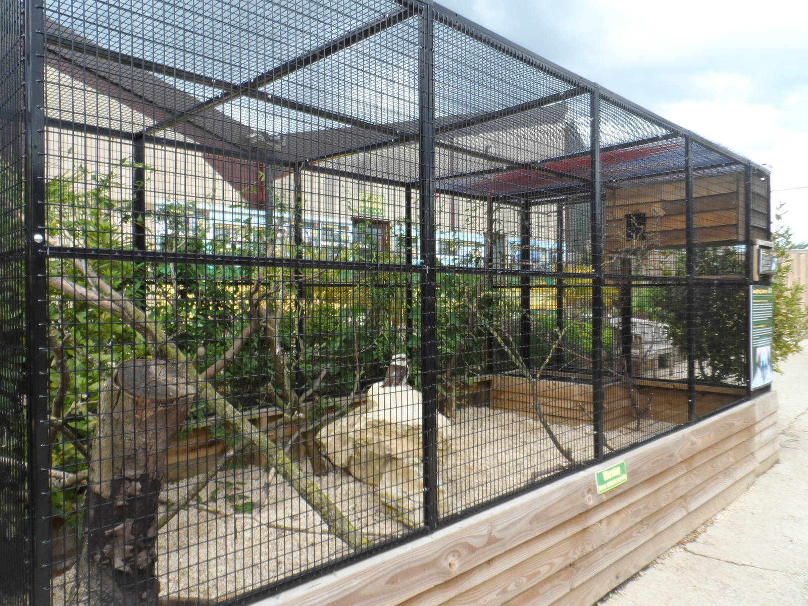 Laughing Kookaburra Aviary