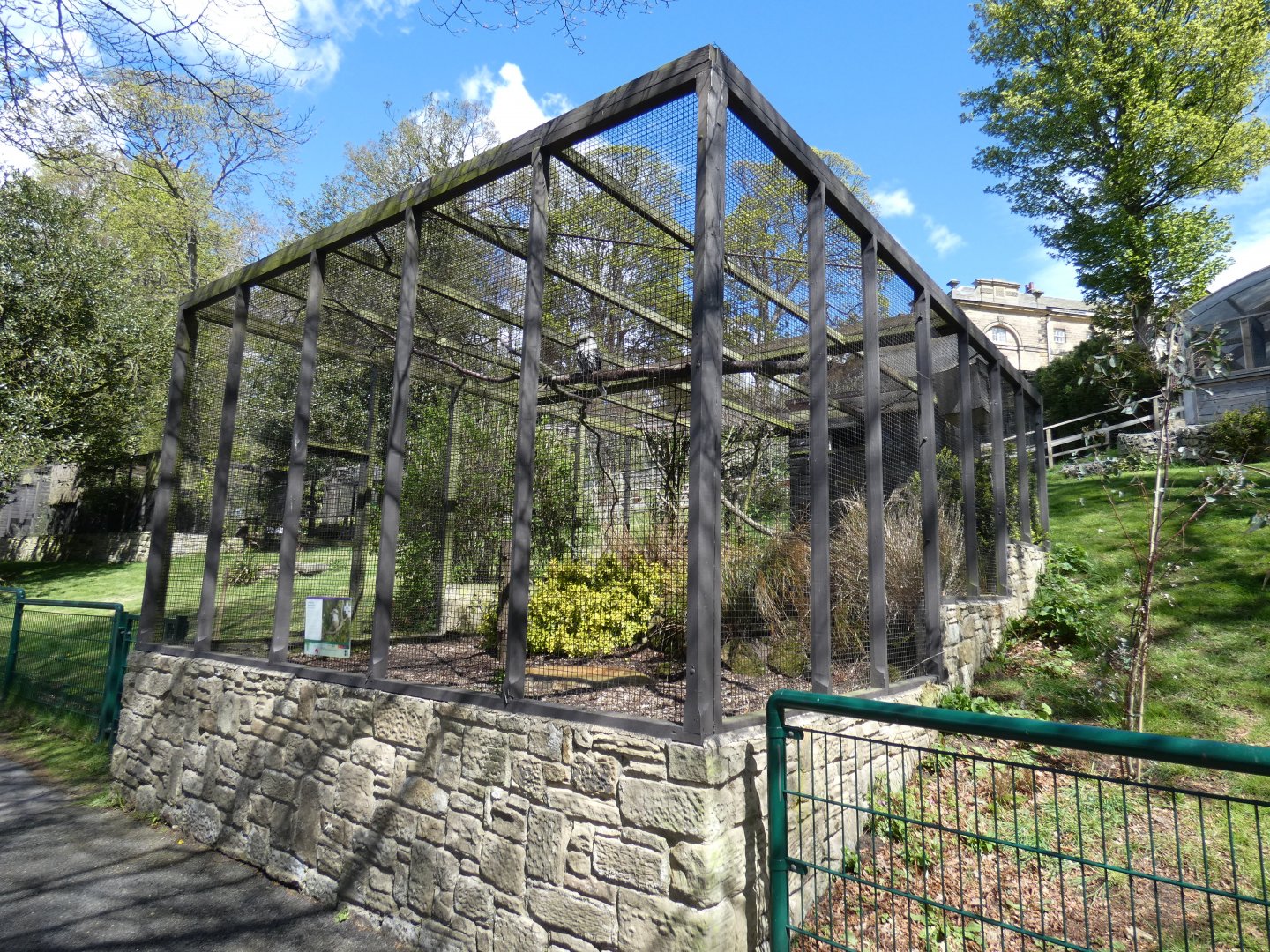Laughing kookaburra aviary