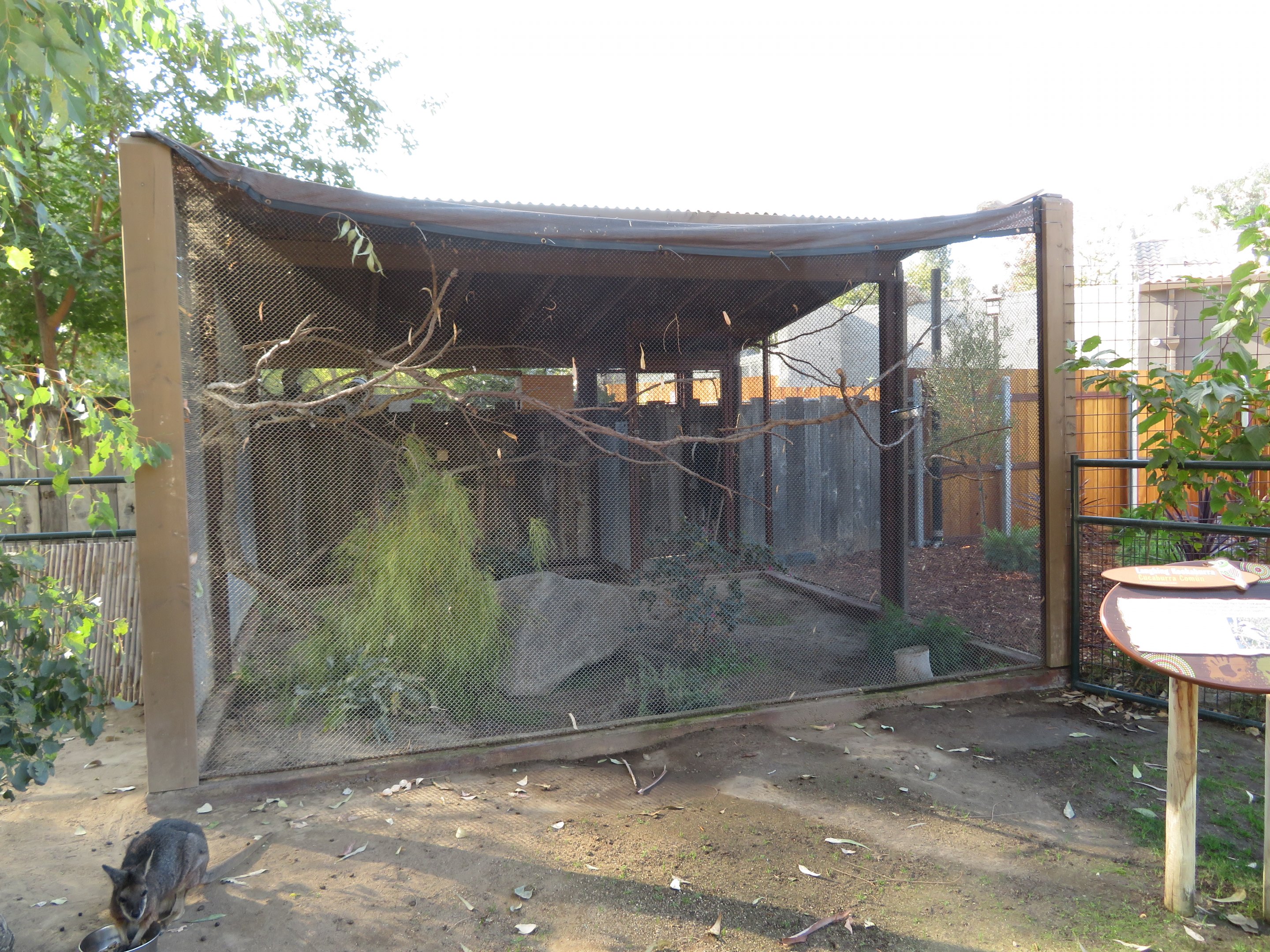 Laughing Kookaburra Aviary