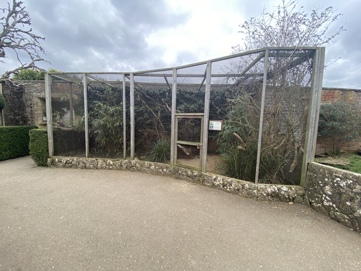 Laughing kookaburra aviary