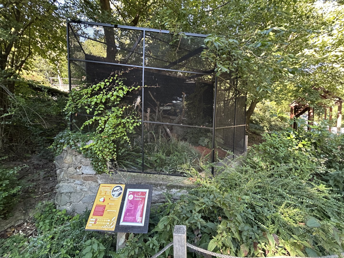 Laughing Kookaburra Aviary