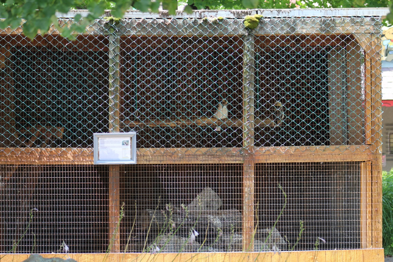 Laughing Kookaburra Enclosure