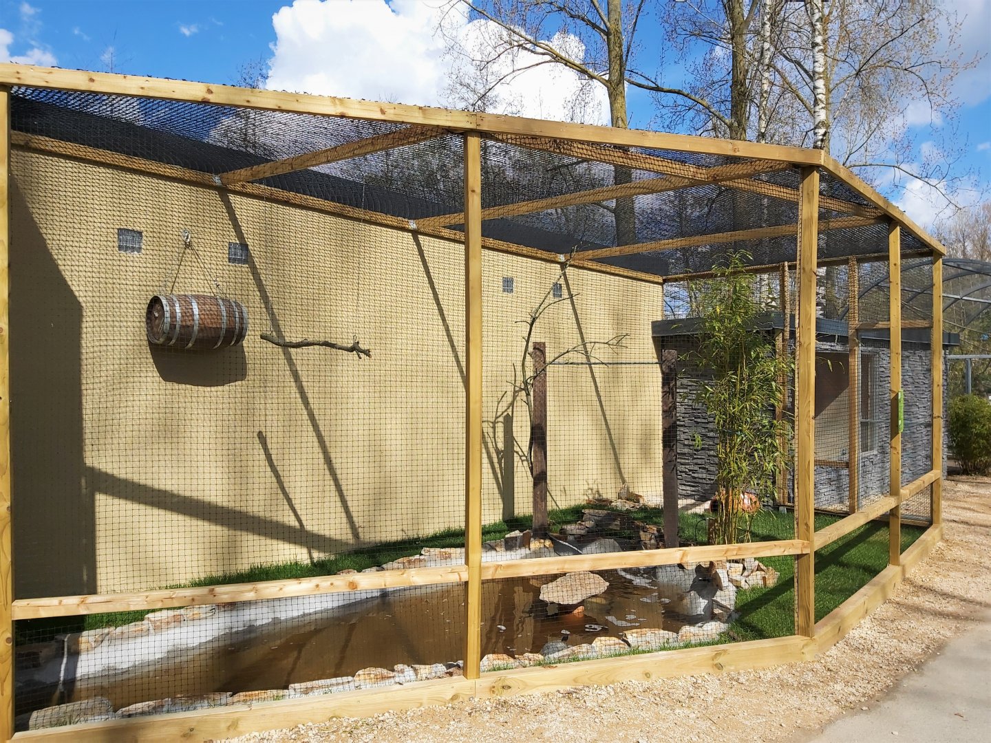 Laughing kookaburra enclosure