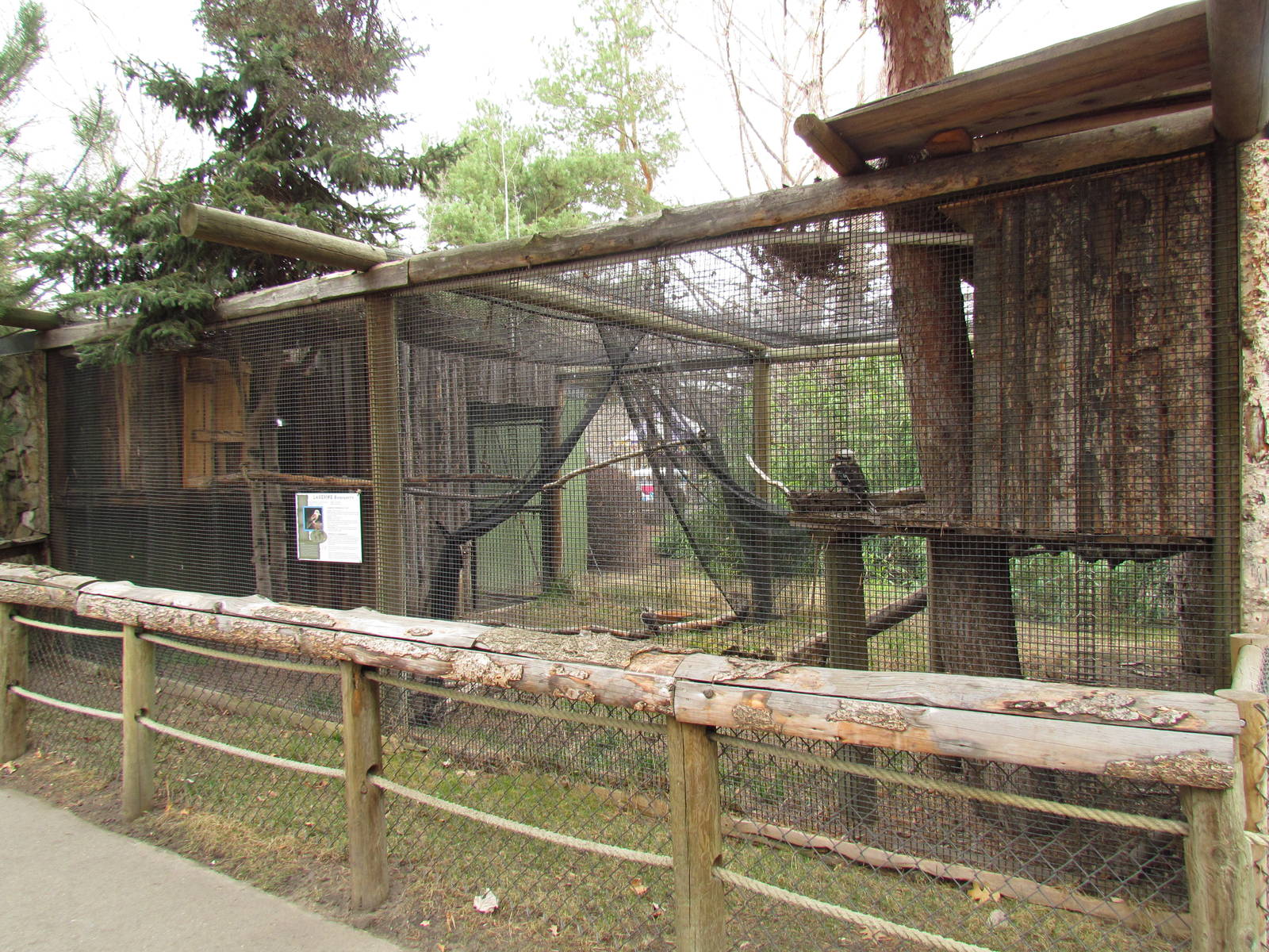 Laughing Kookaburra Exhibit