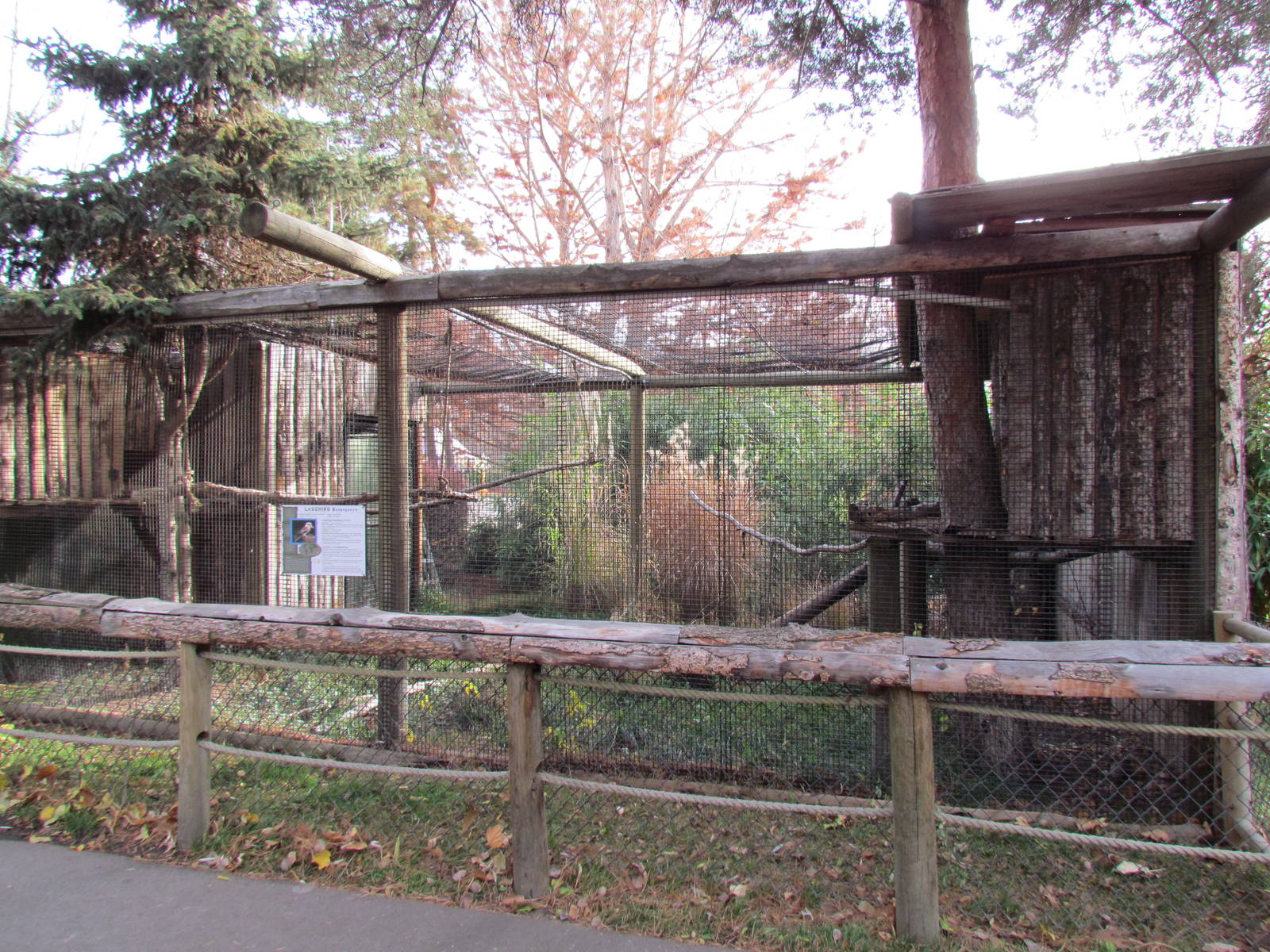 Laughing Kookaburra Exhibit