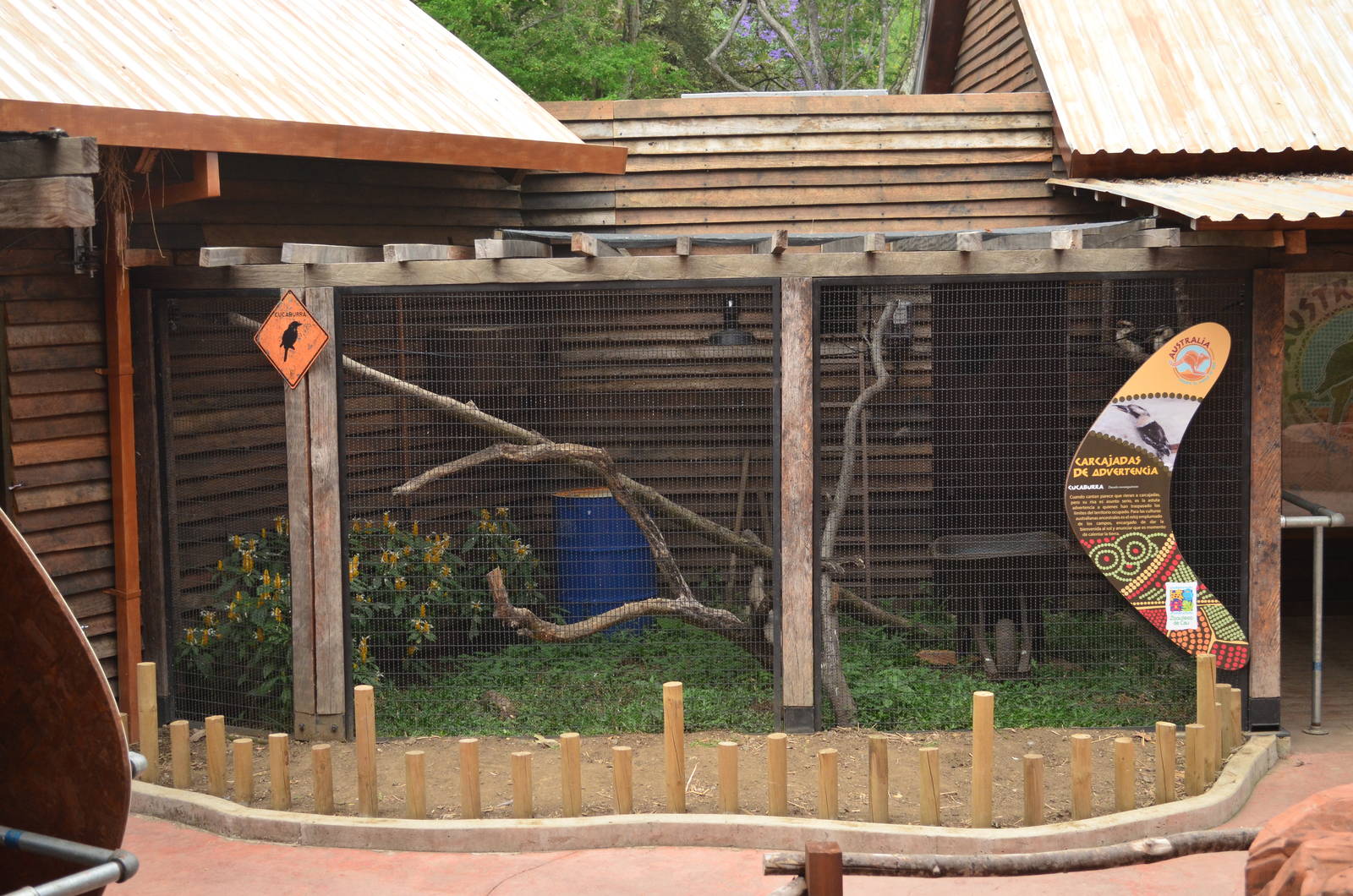 Laughing kookaburra exhibit