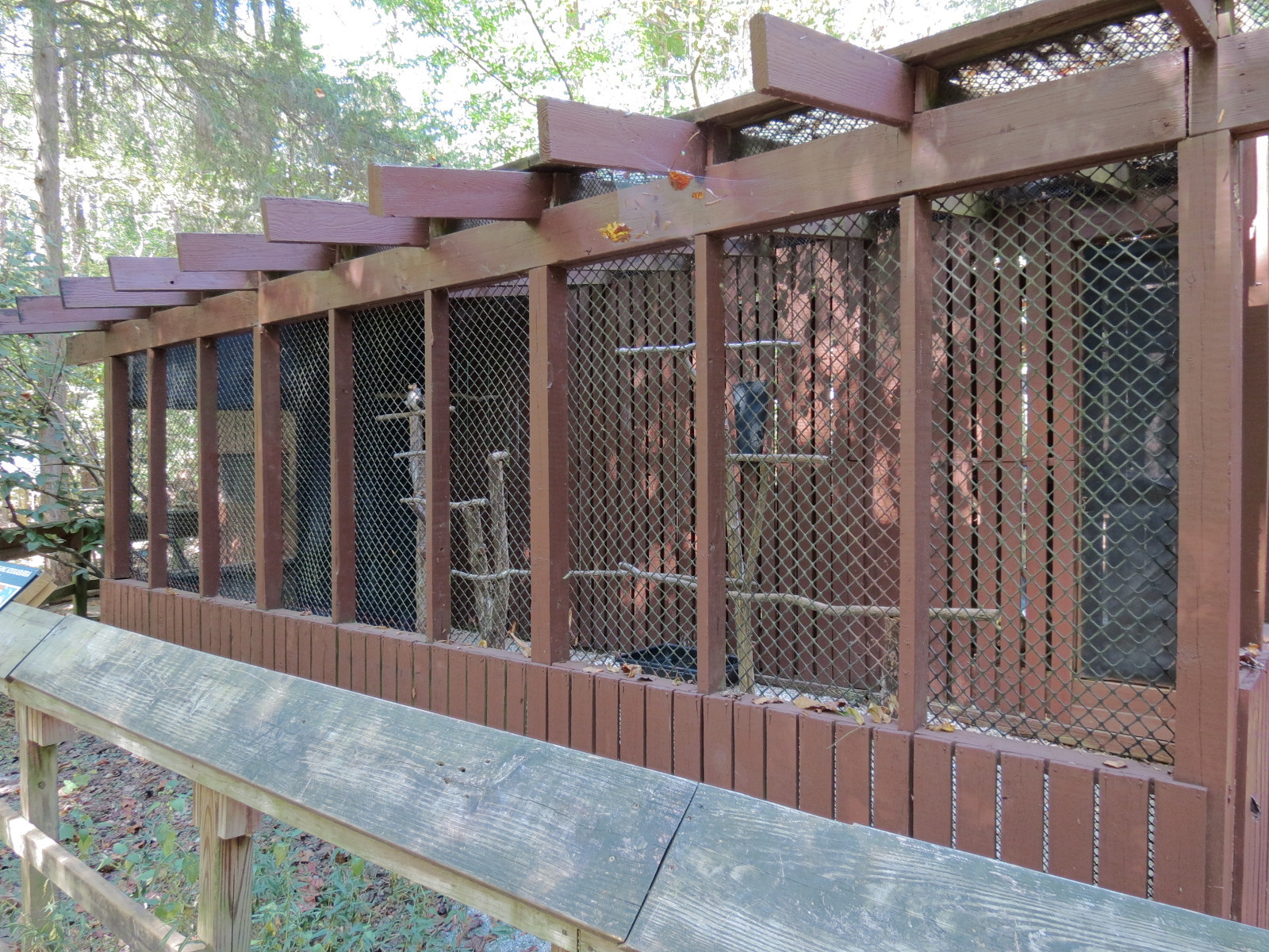 Laughing Kookaburra Exhibit