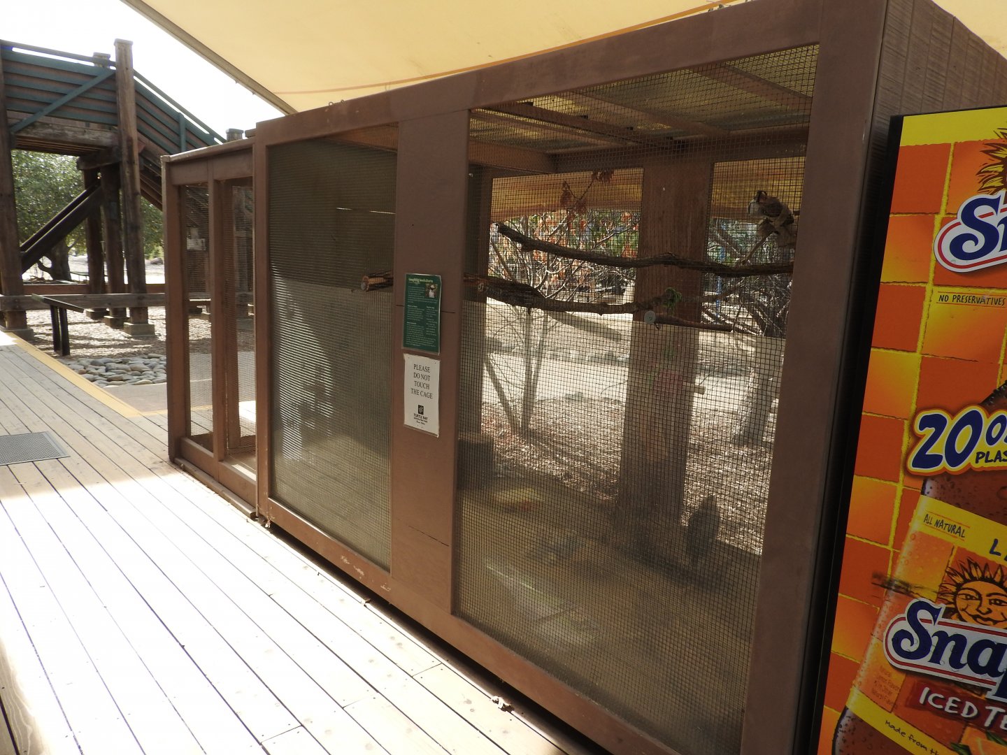 Laughing Kookaburra exhibit