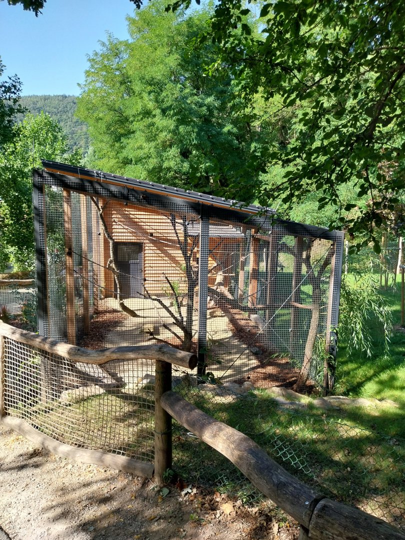 Laughing kookaburra & red-billed blue magpie aviary
