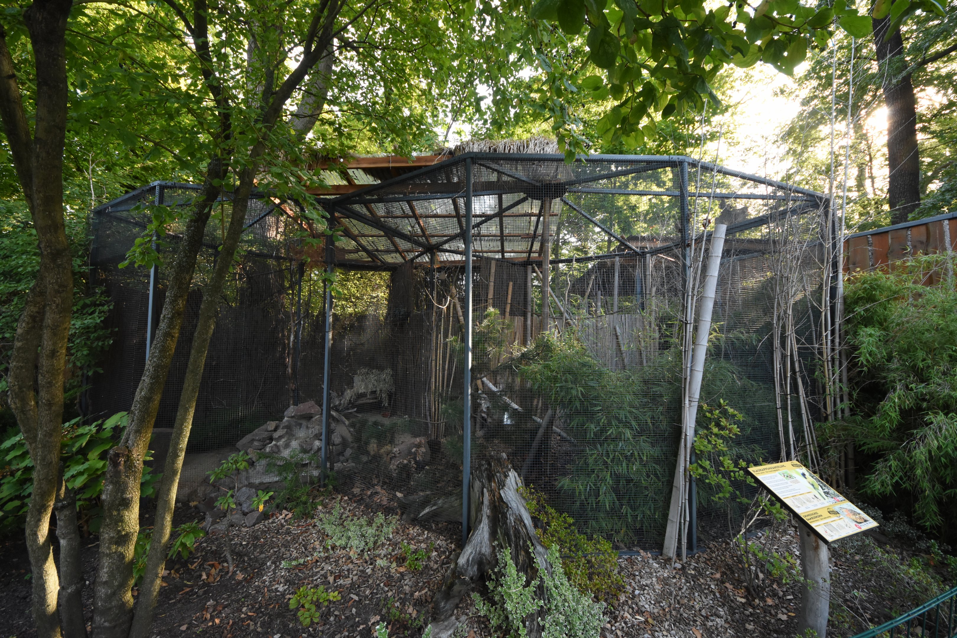 Laughing thrush and Bamboo partridge aviary