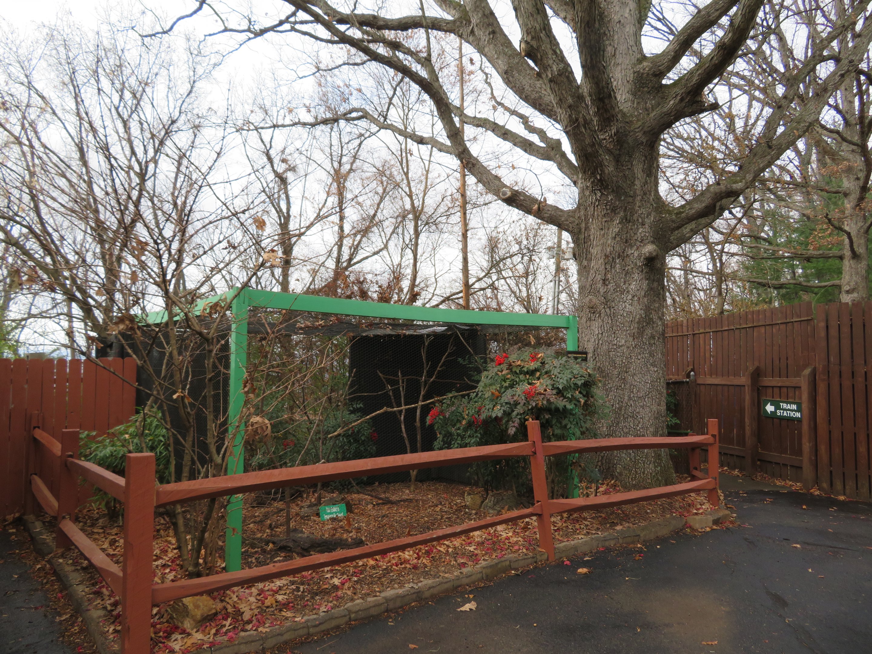 Laughingthrush Aviary & Side Path