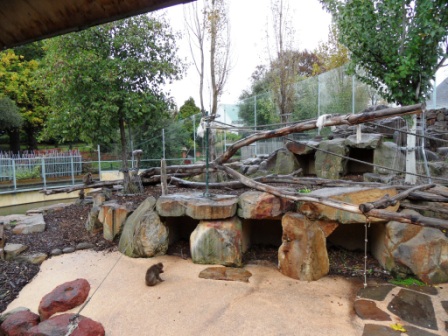 Launceston City Park Macaque Exhibit