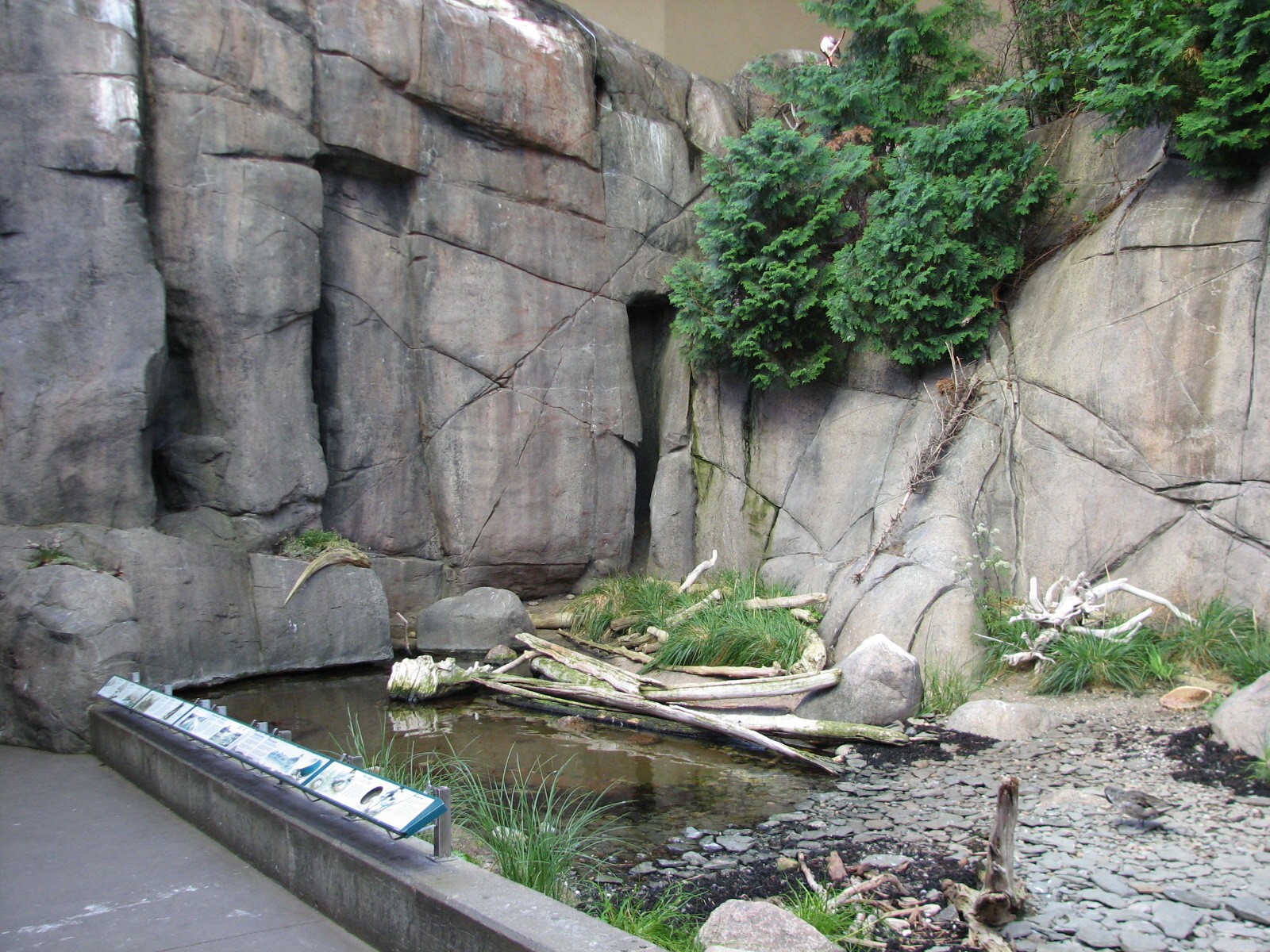 Laurentian Forest Exhibit
