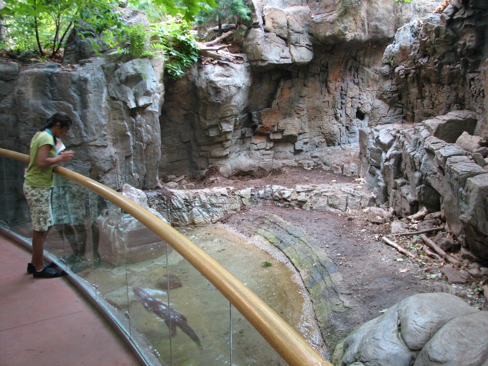 Laurentian Forest Exhibit