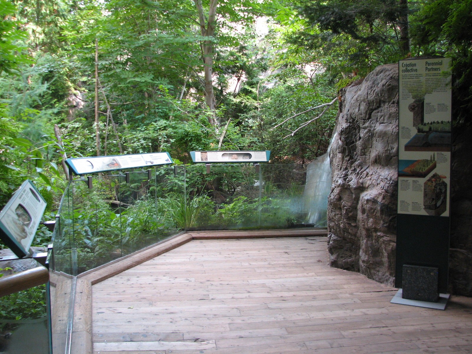 Laurentian Forest Exhibit