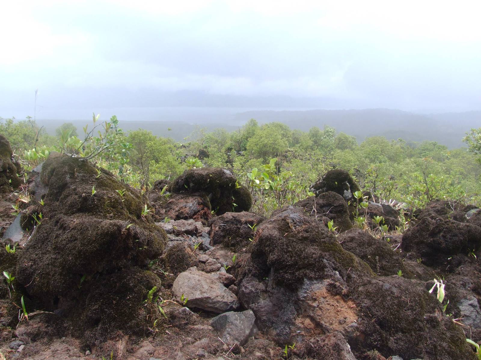 Lava Flow in Succession, Arenal, 18/04/14