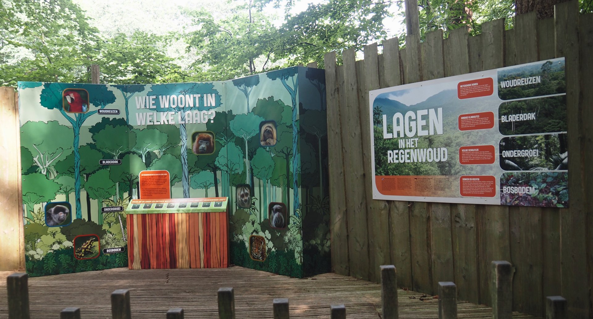 Layers of tropical rainforests educational signage, 2024-08-18