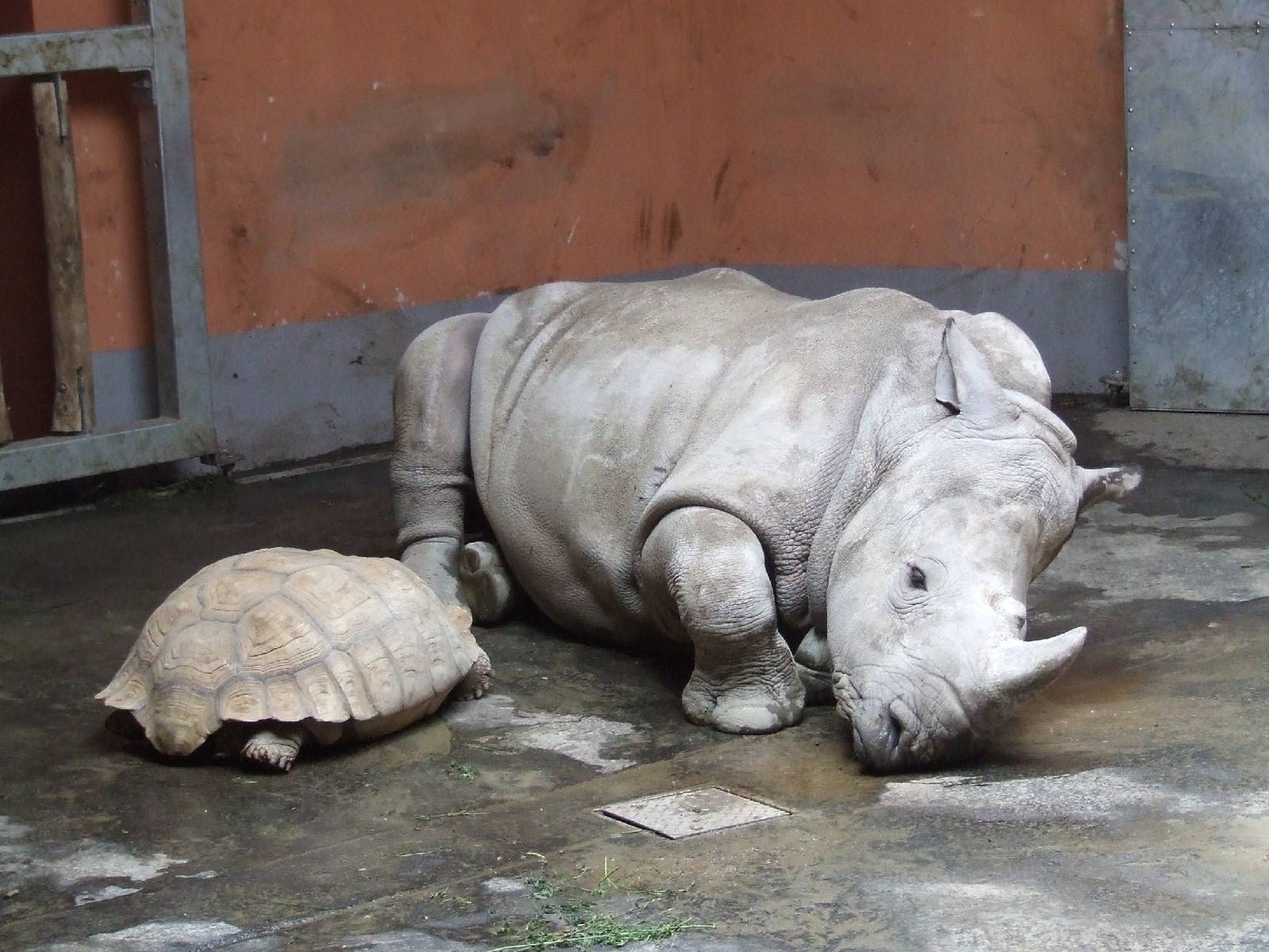 Layla with company @ Budapest Zoo