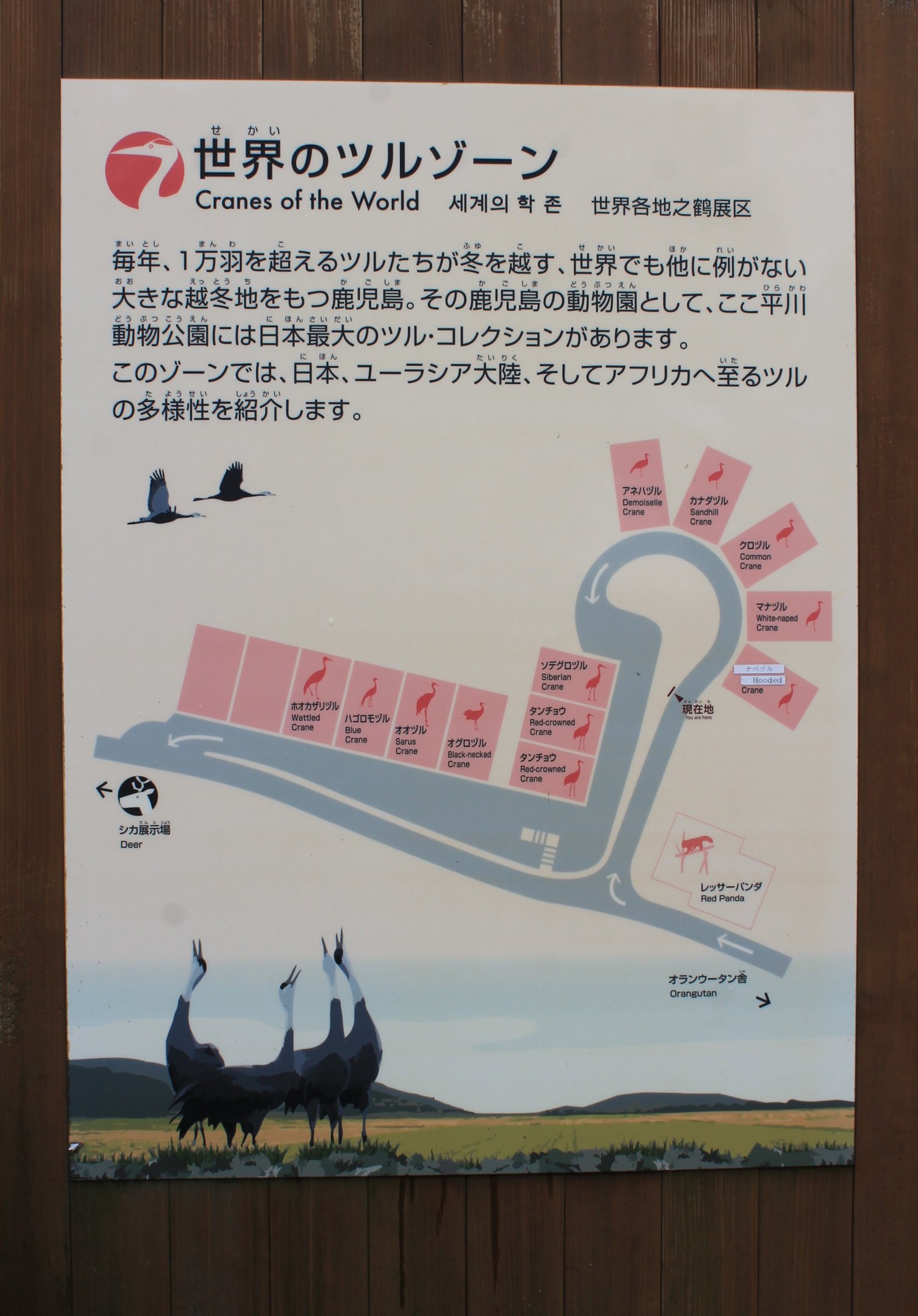 Layout of crane aviaries - Hirakawa Zoo (Kagoshima)