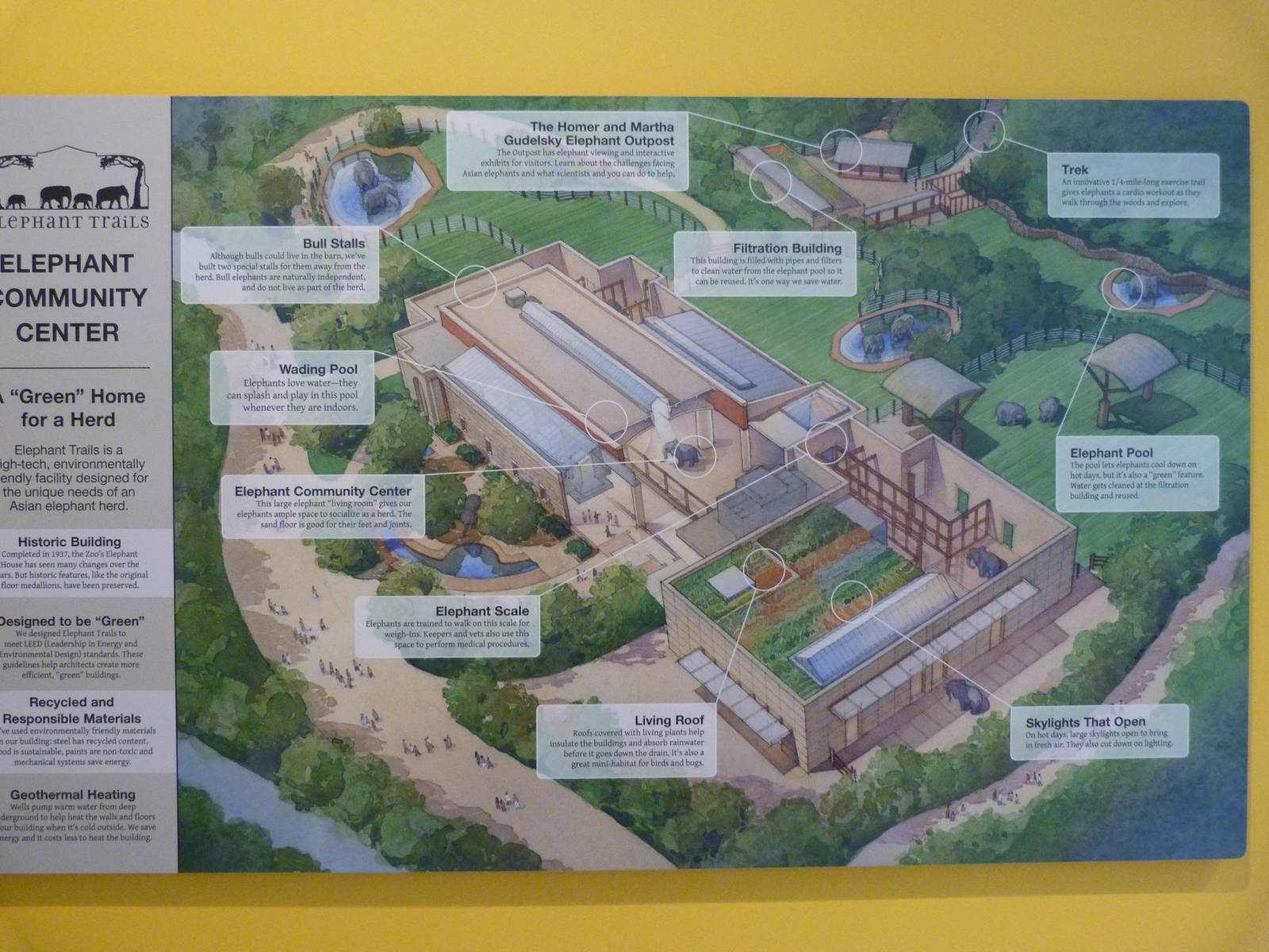 Layout of Elephant Trails