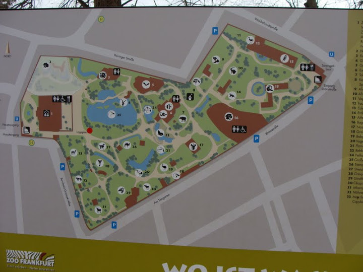 Layout of the garden