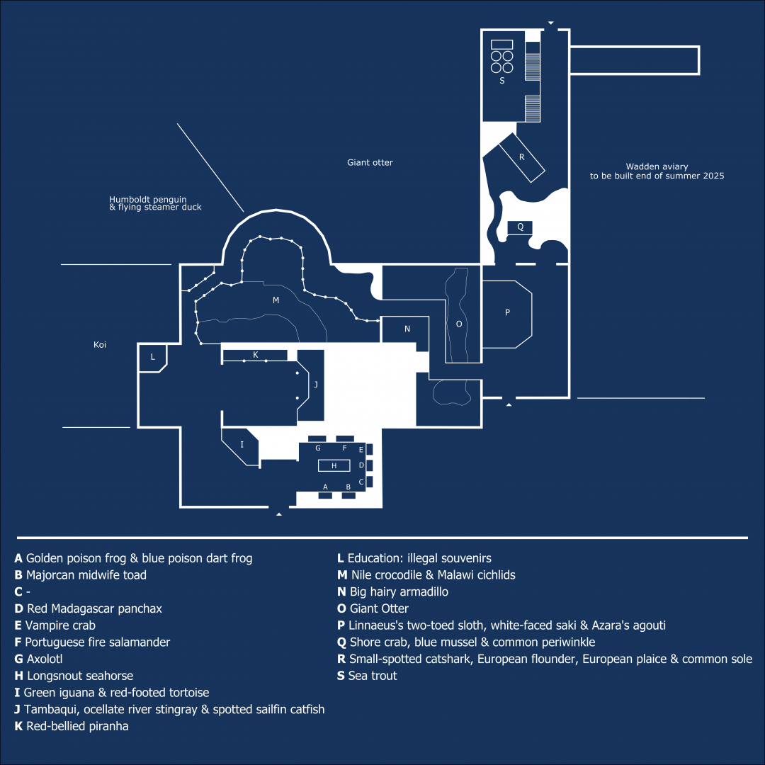 Layout of the indoor area
