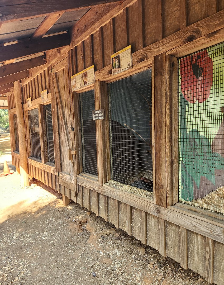 Lazy 5 Ranch - More rows of tiny bird cages