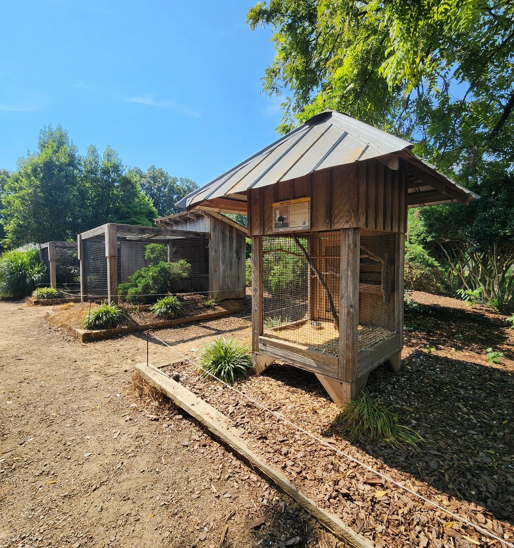 Lazy 5 Ranch - Row of bird cages