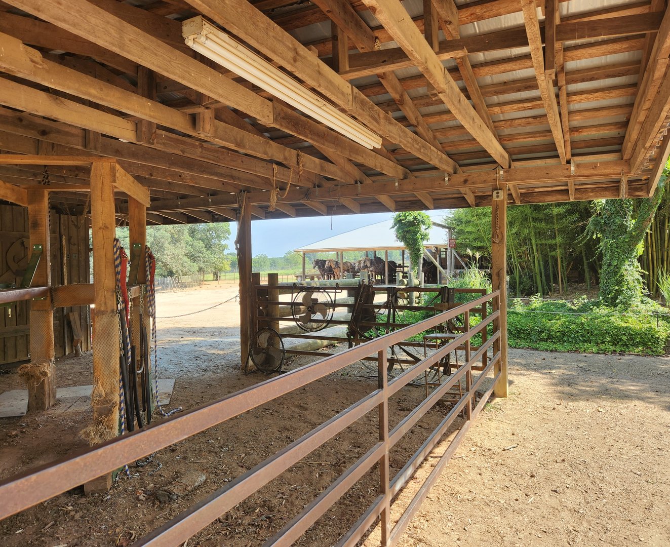Lazy 5 Ranch - Safari wagon waiting area