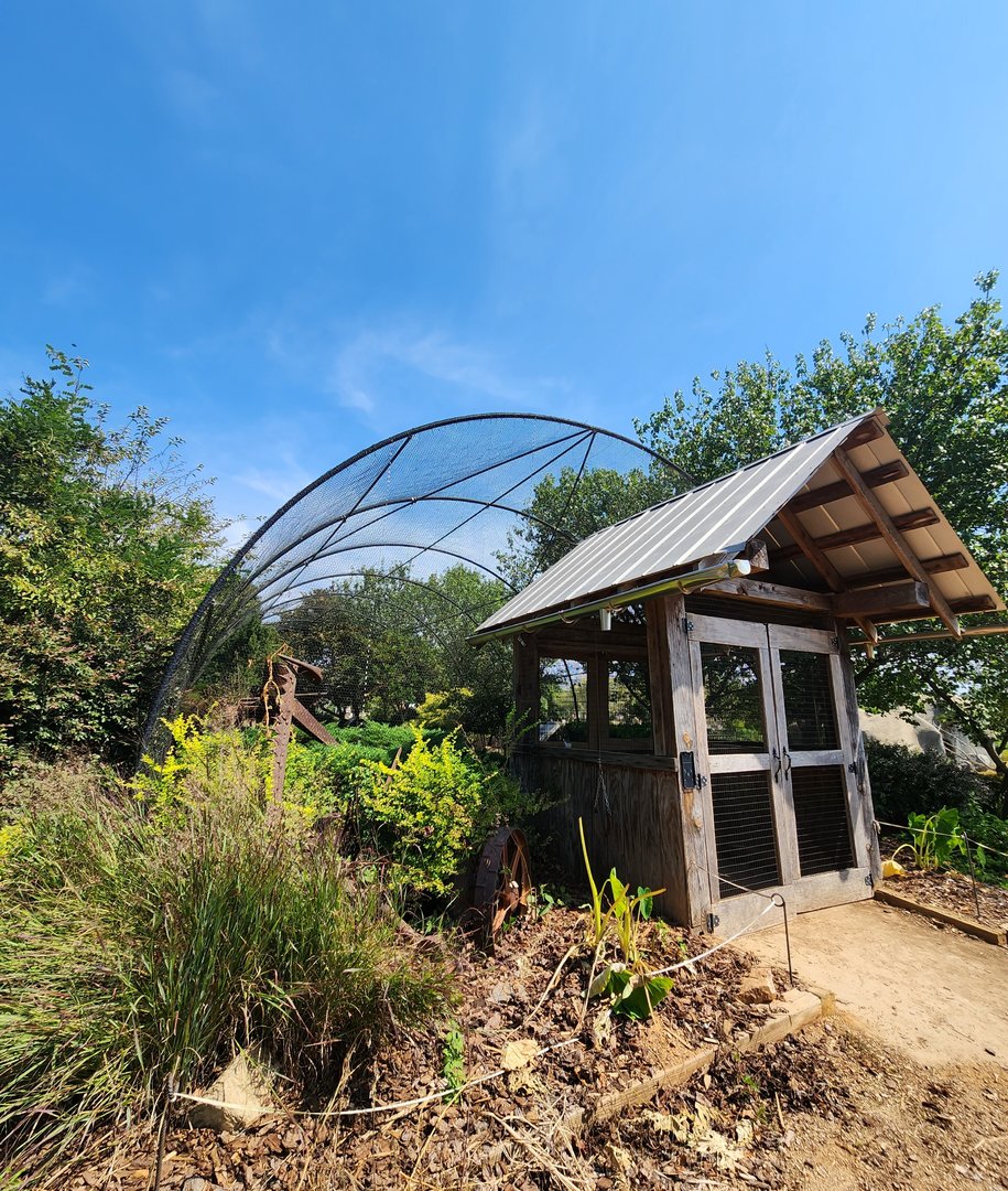 Lazy 5 Ranch - Walkthrough aviary entrance