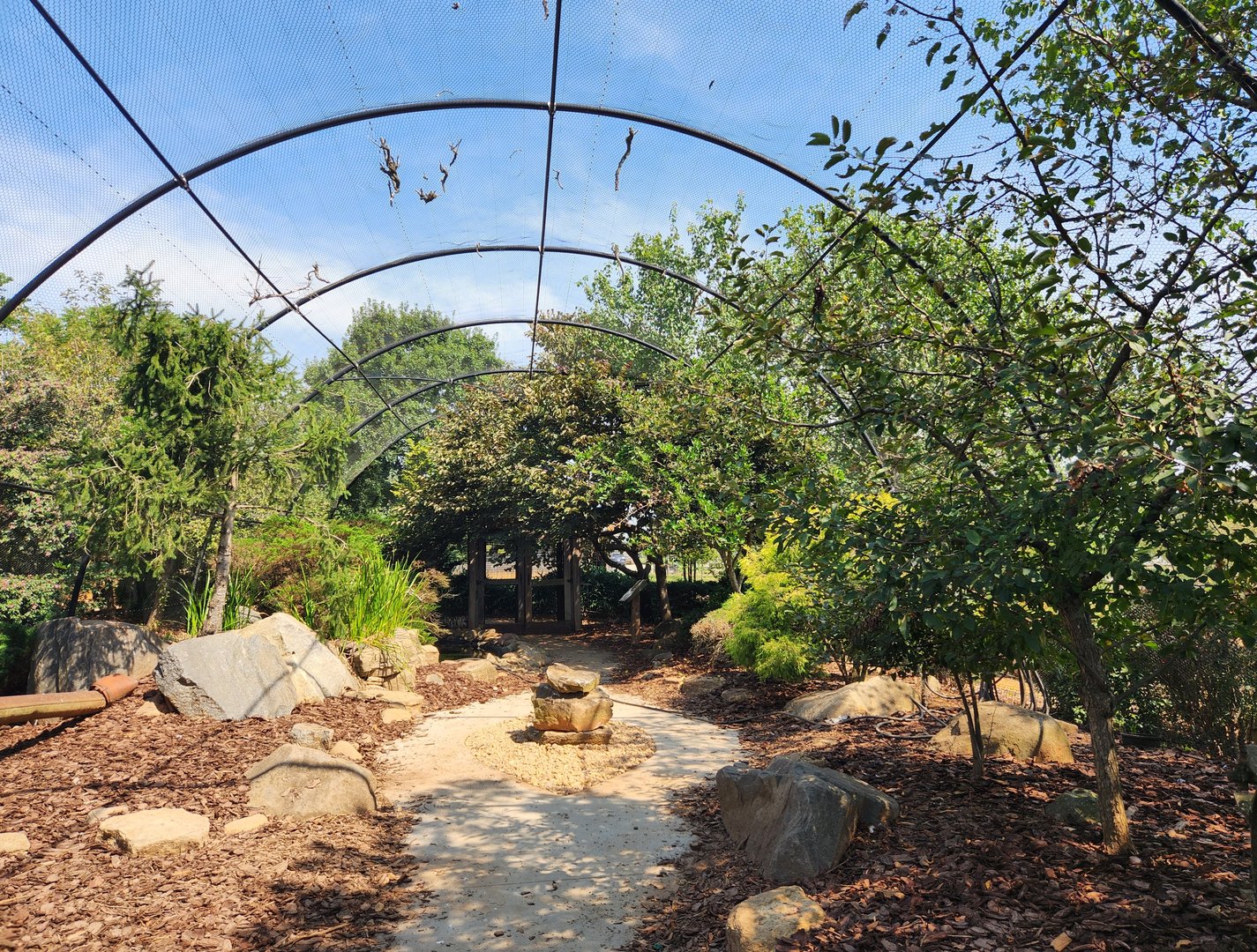 Lazy 5 Ranch - Walkthrough aviary inside