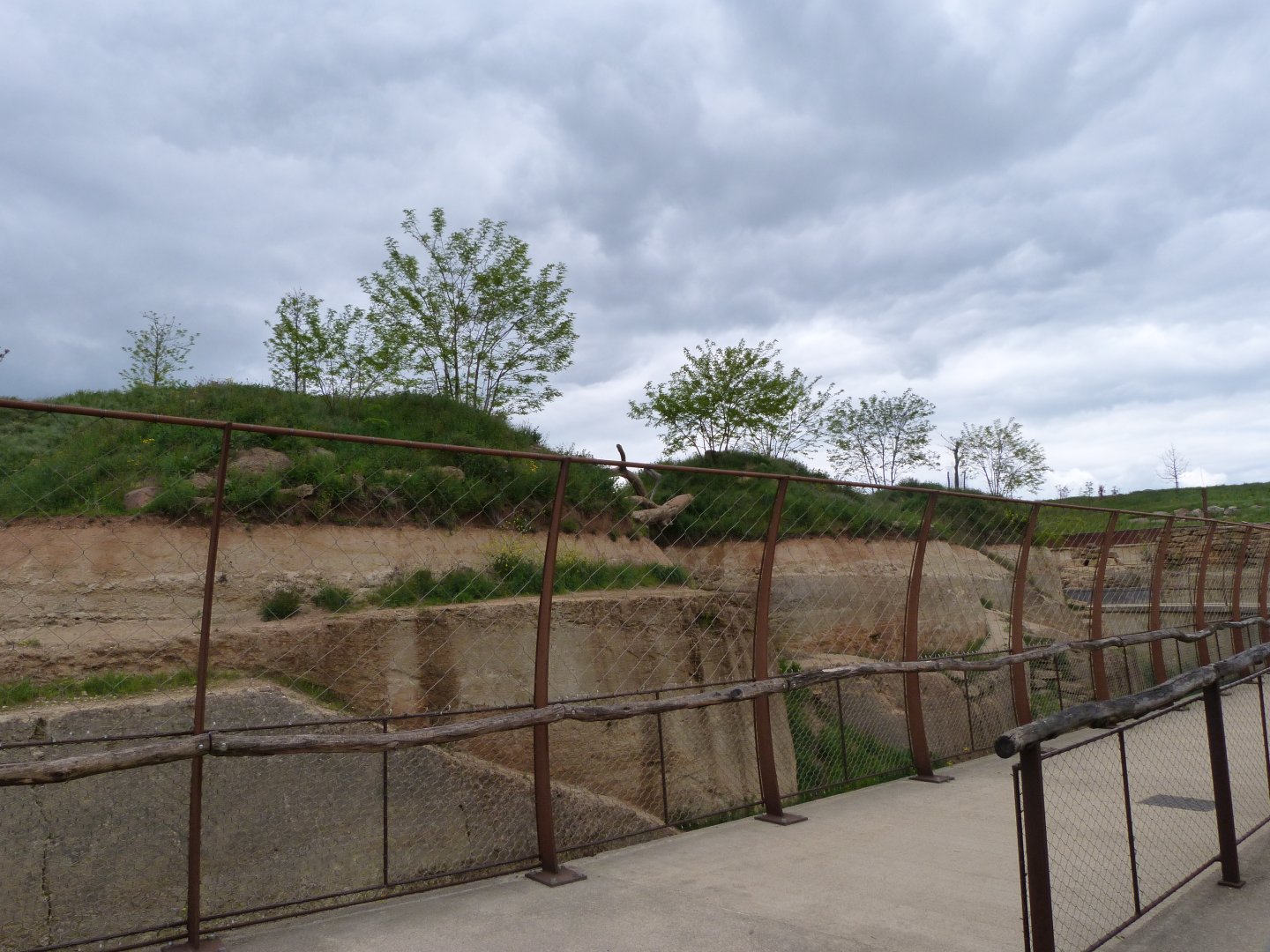 "Le Cratère des carnivores" view -Bioparc de Doué la Fontaine (2025)