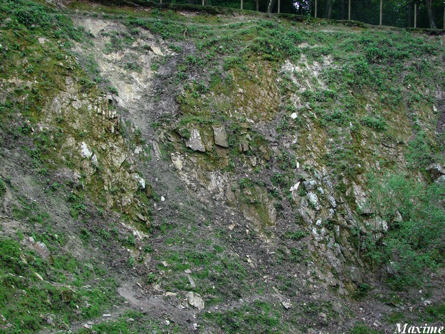 Le Cratère des mouflons - The Sheep's Crater