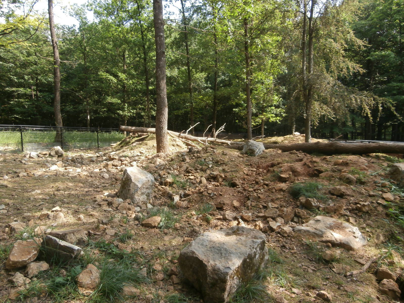 Le Domaine des Grottes de Han - Marmot enclosure