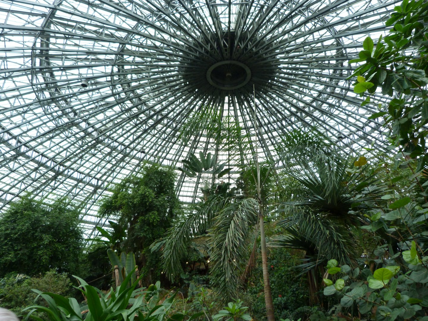 "Le Dôme Équatorial" view -ZooParc de Beauval (2025)
