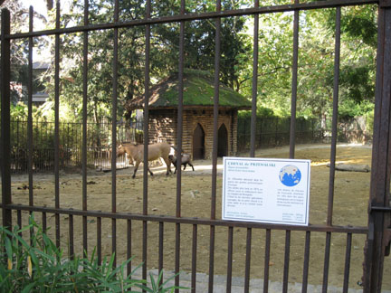 Le Menagerie, Oct 27, 2009