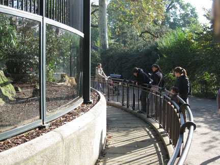 Le Menagerie, Oct 27, 2009