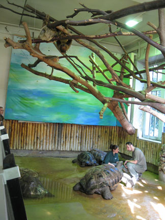 Le Menagerie, Oct 27, 2009