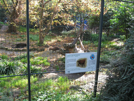 Le Menagerie, Oct 27, 2009