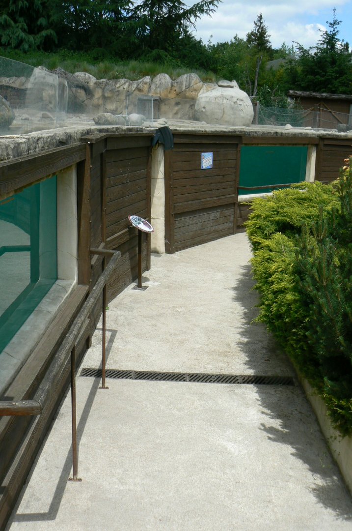 Le Pal - African penguins exhibit