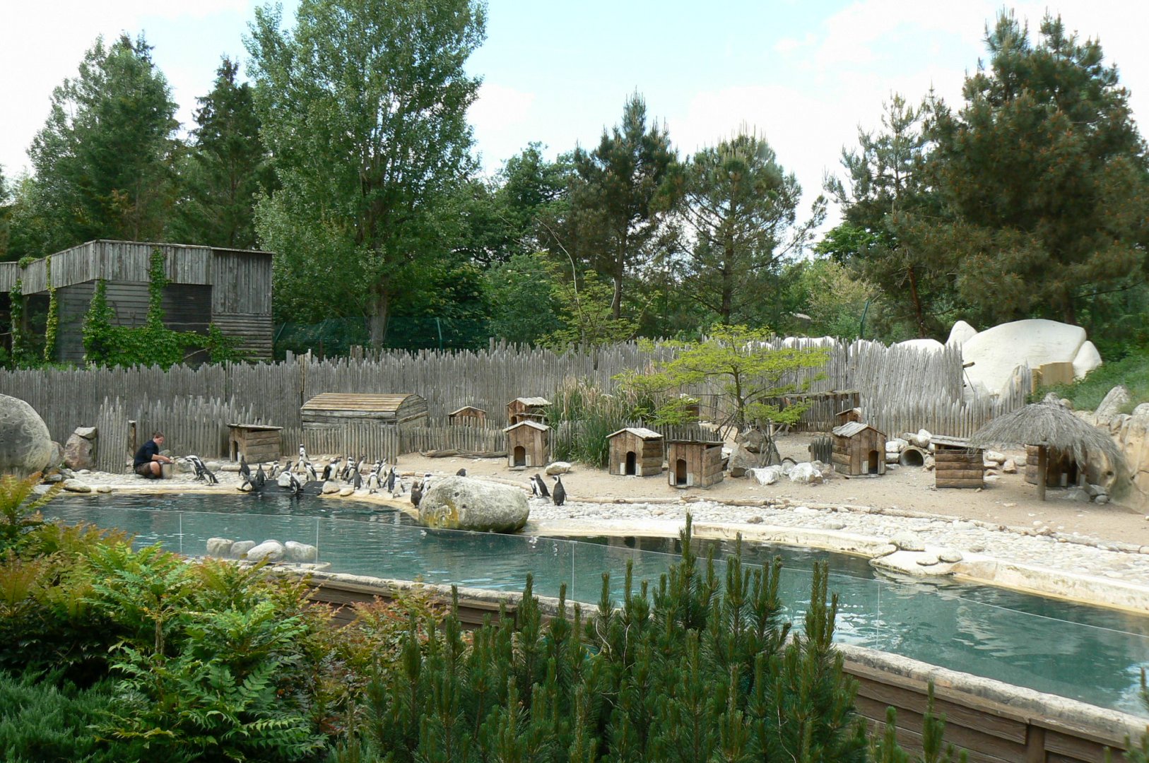 Le Pal - African penguins exhibit