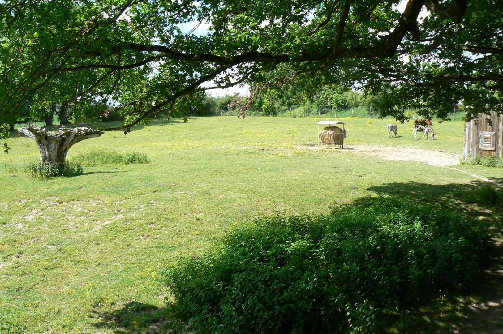 Le Pal - African plain for grevy's zebras, watusis and white-tailed gnus