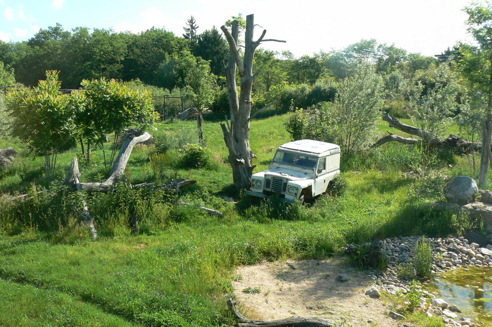 Le Pal - Asiatic lions exhibit