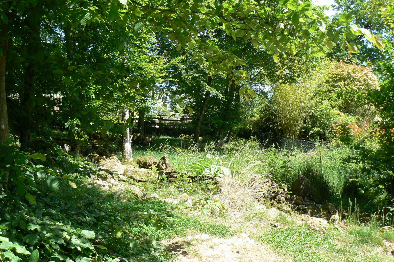 Le Pal - Australian shelducks, demoiselle cranes and indian peafowls enclosure