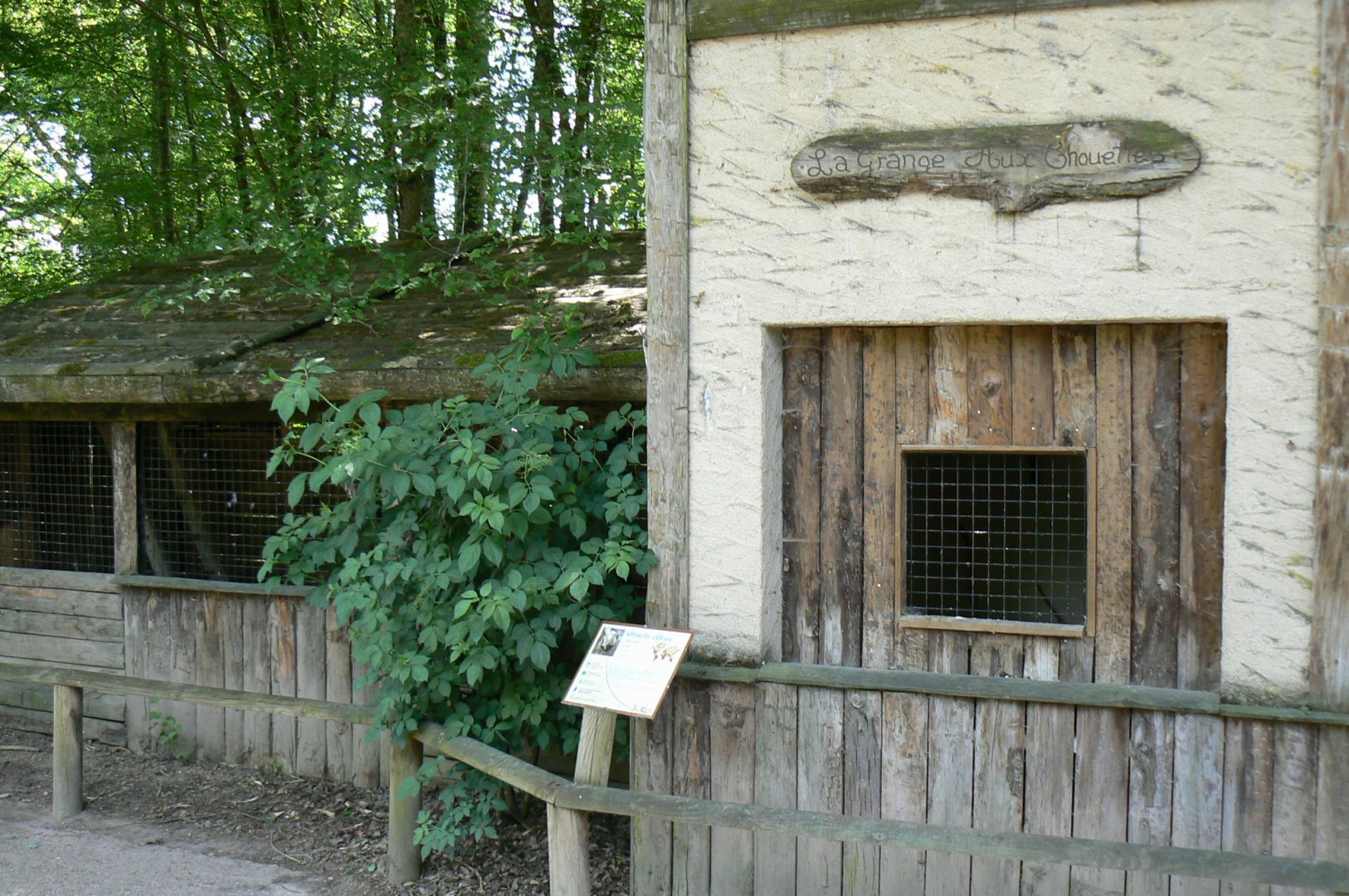Le Pal - Barn owls exhibit