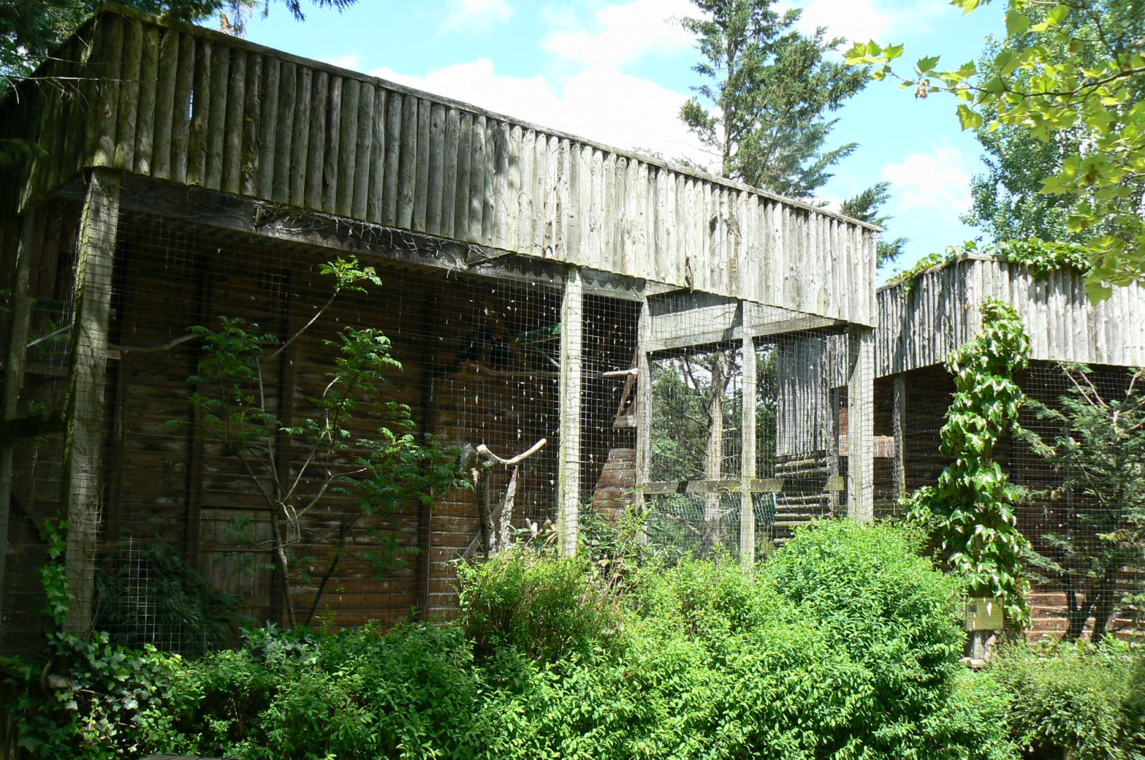 Le Pal - Bateleur eagles aviary