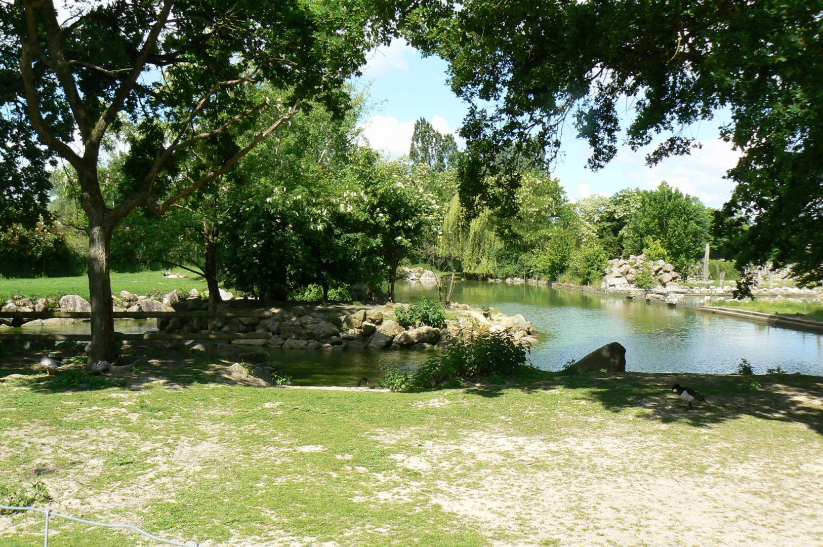 Le Pal - Black swans, bar-headed gooses and blackbucks enclosure