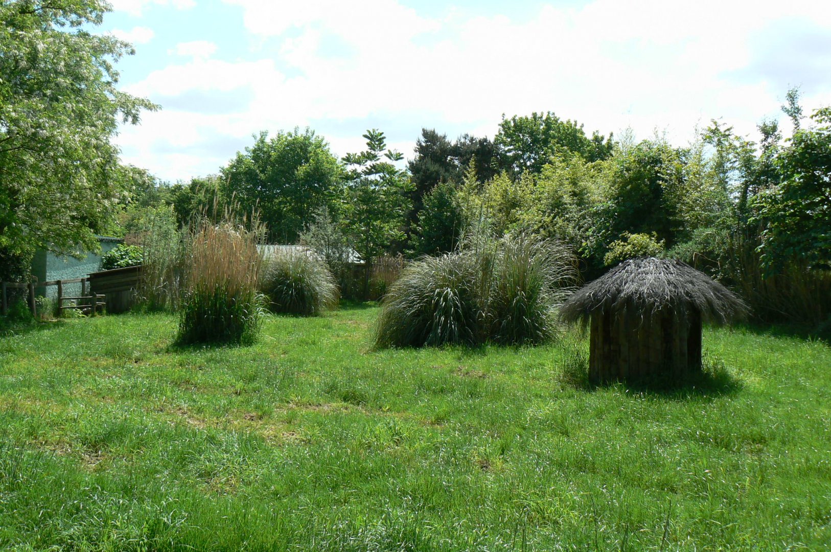 Le Pal - Cape barren gooses and emus enclosure